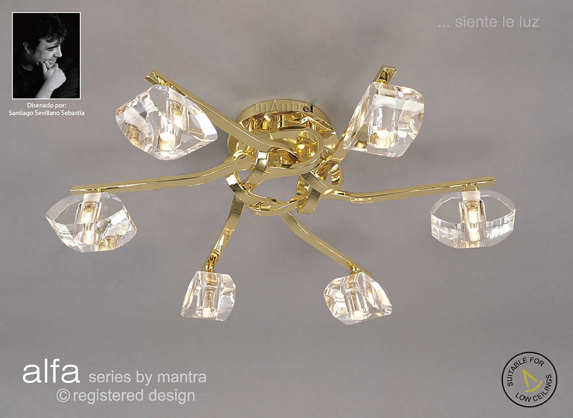 Alfa PB Ceiling Lights Mantra Contemporary Ceiling Lights Alfa PB Ceiling Lights Mantra Contemporary Ceiling Lights